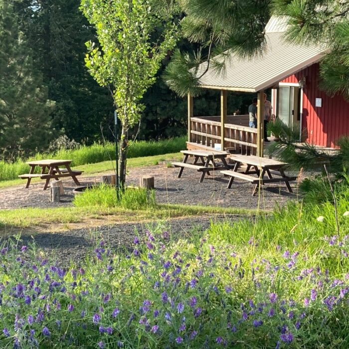 Picnic tables and a fire pit outside the Bozett Barn at Lael are seen behind a field of wildflowers.
