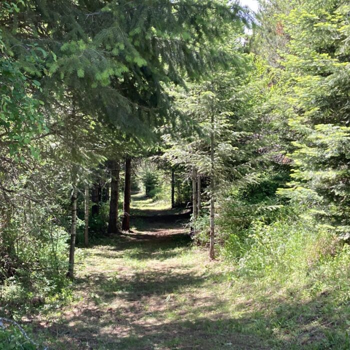 Nature Trail
